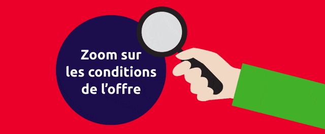 Zoom sur les conditions de l'offre - Mr.Bricolage