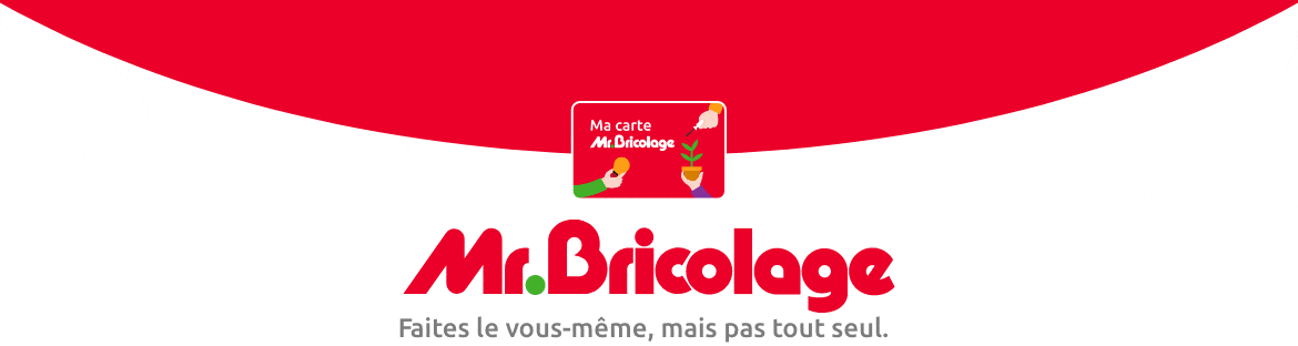 Logo et Carte de fidélité Mr.Bricolage